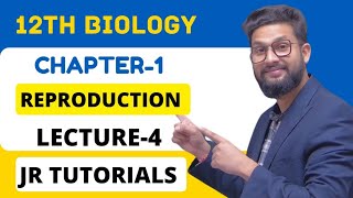 12th Biology  Chapter 1  Reproduction in Lowers amp Higher Plants  Lecture 4  JR Tutorials [upl. by Enyaht777]