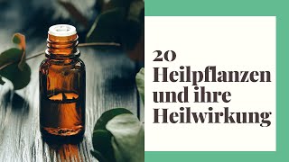 20 Heilpflanzen und ihre Heilwirkung [upl. by Boeschen]