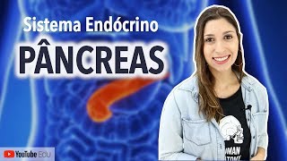 Pâncreas Sistema Endócrino  Anatomia etc [upl. by Ennairol]