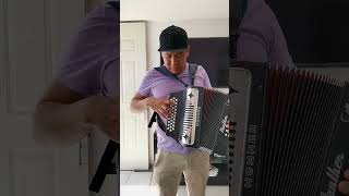 Acordeon Hohner panther vs Alacran polverini sonido diferencias [upl. by Mclaurin]