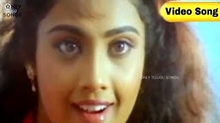 ACTRESS MEENA BEAUTIFUL VIDEO SONG NAA GOPURAMULU  ANGARAKSHAKUDU MOVIE  M M KEERAVANI [upl. by Assilram284]