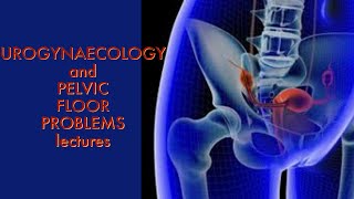 UROGYNAECOLOGY lecture 1 STRESS INCONTINENCE causes clinical features and some important definitions [upl. by Senaj357]