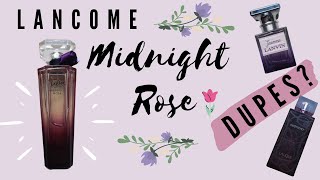 Midnight Rose Lancome amp Dupes  Perfume Review [upl. by Sherie414]