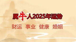 属牛人2025年运势分析 财运 事业 健康 婚姻 生肖牛 2025年 [upl. by Penthea329]