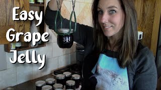 Easiest Way to Make Grape Jelly  Using Store Bought Juice [upl. by Fineman]