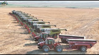 Colorado Wheat Harvest 2024 with 12 Claas Lexion Combines [upl. by Anerb133]