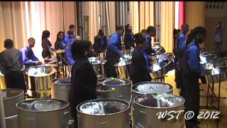 Pantonic Steel Orchestra  Someone Like You  WSTHD [upl. by Molton]