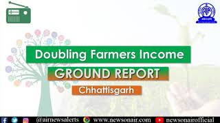 Ground Report on Doubling Farmer Income Hindi from Raipur Chhatisgarh [upl. by Kobylak673]