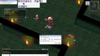 Too Much Oridecon Will Kill You RAGNAROK ONLINE [upl. by Lehrer]