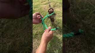 Quick and easy knot  Kalmyk knot [upl. by Nwahsiek]