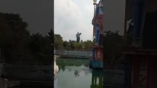 pudukkottai district keeramangalam sivan lover subscribe see tha tree [upl. by Nedlog]