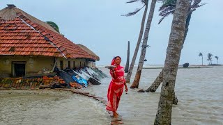 The Sundarbans Mangrove Delta Forest in Asia—Educational Video English [upl. by Martainn]