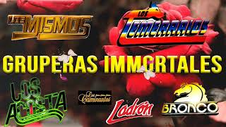 GRUPERAS IMMORTALES🎵 LOS BUKIS GRUPO MOJADO LOS BYBYS MANDINGO LOS CAMINANTES LOS TEMERARIOS [upl. by Oeflein]