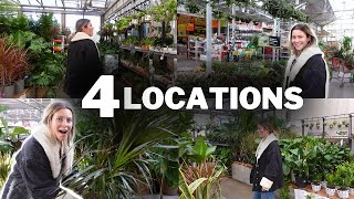 Houseplant Shopping at 4 Big Box Store Locations  Home Depot Plants Lowes Indoor Plant Haul [upl. by Notsuh296]