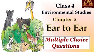 Ear to Ear Chapter 2 MCQ  WORKSHEET Class 4EVS  KVS  NCERT CBSE [upl. by Smalley]