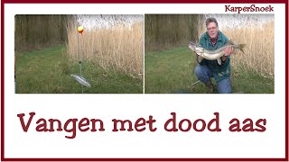 Vangen met DOOD AAS  snoek [upl. by Kepner]