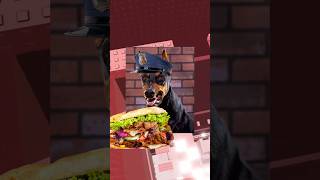 Korrekte Aussprache von Hunderassen🐩🐕Ich heule😭 preppypaco roblox [upl. by Durrace987]