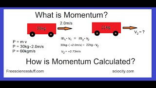 How To Calculate Momentum With Examples [upl. by Ekard]