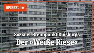 Brennpunkt Duisburg Das Leben im Problemhochhaus »Weißer Riese«  SPIEGEL TV [upl. by Nue39]