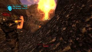 The ONLY Way To Deal With Cazadors In Fallout New Vegas [upl. by Castera]