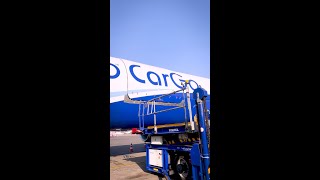 CarGo  Freighter  Aircraft  IndiGo 6E [upl. by Noffihc]