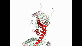 Nucleosome core particle [upl. by Akinot878]