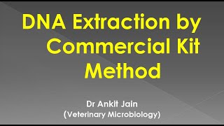 DNA Extraction by Commercial kit method [upl. by Ahswat]