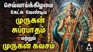 Tuesday Powerful Murugan Suprabatham And Muruga Kavasam  Murugan Bakthi Padalgal [upl. by Nevile]