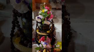 Kokrajhar Pagla Baba Mandir  Kokrajhar Dimal Gaon Assam shorts youtubeshorts [upl. by Brighton]