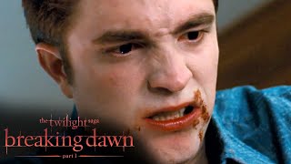 Edward Does Everything to Save Bella Scene  The Twilight Saga Breaking Dawn  Part 1 [upl. by Gweneth]