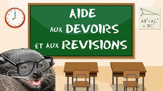 Rediffusion🔴 Stream 12 dAide aux Devoirs et aux Révisions 👨‍🏫 Math 📚 Collège  Lycée [upl. by Zil]