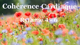 Cohérence Cardiaque Rythme 46 [upl. by Favrot247]