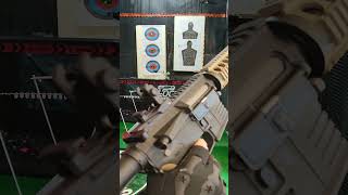 AR15 RIS Charlie Half Tan Delta Armory airsoftgun asg [upl. by Suivart702]