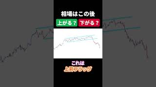 【わかったかな】相場はこのあと上がる？それとも下がる？13 [upl. by Notyalk]