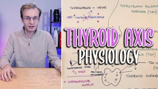 Thyroid Hormone HPT Axis  Draw Along Physiology  Medicine Tutorial [upl. by Harriett791]