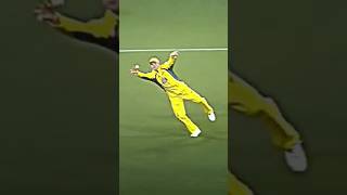 Smith catch pending🇦🇺🇦🇺🇦🇺🇦🇺😱😱😱 [upl. by Thanos]