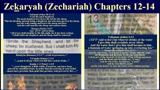 Zekaryah Zechariah Ch 1214 quotIN THAT DAYquot [upl. by Lahpos]