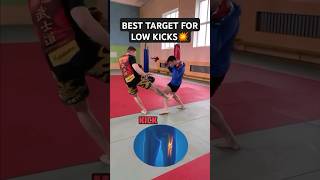 BEST TARGET FOR LOW KICKS kickboxing ufc mma [upl. by Tali]