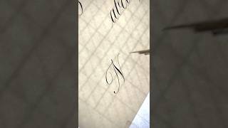 Copperplate Calligraphy N calligraphy learncalligraphy handwriting oddlysatisfying pointedpen [upl. by Ateuqal]