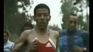 WildAid PSA  Haile Gebrselassie [upl. by Cherry]