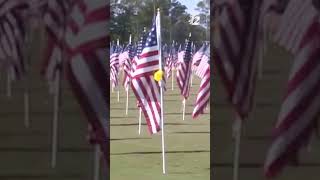 Field of Honor in Asheboro remembers veterans [upl. by Llewen]