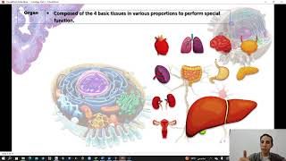 Cytology part 1 al salam Uty [upl. by Badger]