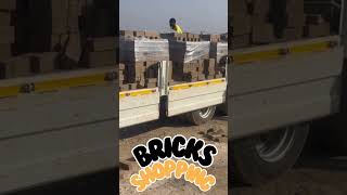 Bricks Shopping villagehouse villagebuilding shortvideo [upl. by Wahs598]