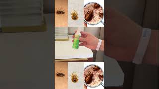 How to fog for bed bugs Hot Shot bed bug amp flea fogger [upl. by Swehttam]