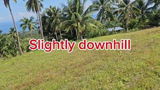 Lot for sale seaview 6100 sqm at Argao Cebu Philippines 600sqm [upl. by Aivato]