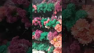 ASMR ARTIFICIAL FLOWERS asmrvideo beautiful amazing short [upl. by Liryc]