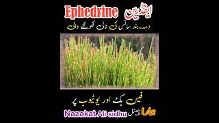 Ephedrine ephedra medicine treatment therapy [upl. by Wakerly137]