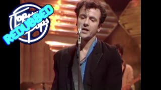 The Stranglers  Golden Brown TOTP 1982 [upl. by Eelarol]