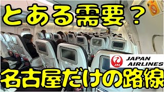 【知ってる？】不気味な空港！？東京＆大阪には就航してないJALの国際線を利用したら [upl. by Keeryt]