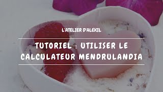 🧼 Tutoriel utiliser le calculateur Mendrulandia pour la saponification à froid [upl. by Nekcerb]